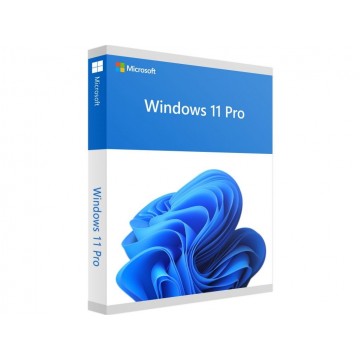 Microsoft Windows 11 Professionnel - (clé de produit)